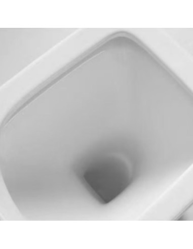Inodoro Largo con Asiento y Deposito Mochila Tapa Suave Blanco